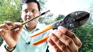 Recombinant DNA Technology | Genetic Engineering| and Symbiosis | General Demonstration