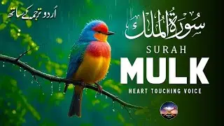 Surah Al-Mulk | Emotional & Soothing Quran Recitation | Divine Blessings #nightrecitation