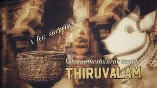 The Usual and The Unusual at Vilvanatheswarar Temple , TIRUVALAM