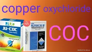 copper oxychloride 50%WP । use in Hindi।