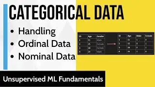 Handling Categorical Data | Converting Categorical Data into Numerical Data | Ordinal & Nominal Data