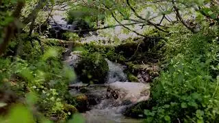 3 hours of peaceful cittern, music, mandolin, very relaxing music