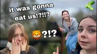 deadly dragon at the conservation centre!?!? **NOT CLICKBAIT**