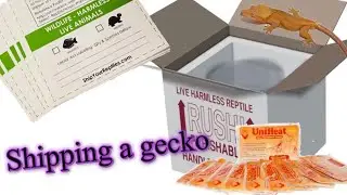 Shipping a Gecko