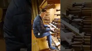 Marcussen Organ #Linz (Austria) #marcodentoom #shorts #orgelmusik