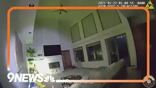 Deputies respond to report of bobcat inside Ken Caryl home