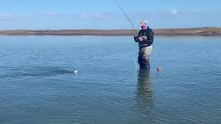 Texas Coastal Wade Fishing Trips with Gator Trout Guide Service