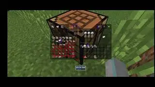 Minecraft video