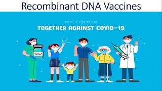 What is Recombinant DNA Vaccine?