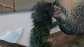 Finger Size |🐒|- Monkey fun with Man