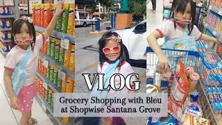 Grocery Shopping with Bleu at Shopwise Santana Grove | Vlog