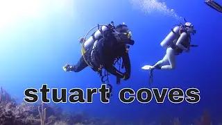 stuart coves NASSAU BAHAMAS