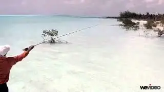 Casting #1 - Capt. Shawn Leadon - Bonefishing - Andros Island Bonefish Club