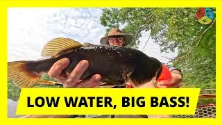Fishing a Lowered Reservoir?! -  Elkington Mill Pond in Salem County