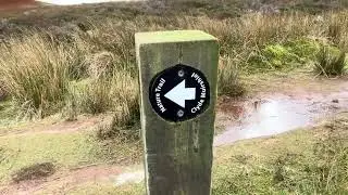 Slow TV  A peaceful walk aside running water via the Clyde Muirshiel Nature Trail Scotland #slowtv