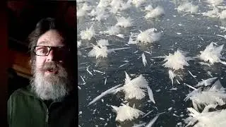 0 degrees Fahrenheit