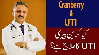 Role of Cranberry in prevention & Treatment of Urine Infection ( UTI)