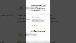 Монетизация для разработчиков в магазине RSTOR