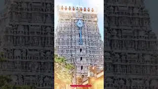 #thiruchendurmurugan💫#kumbabishegam #velum mayilum thunai #God #Peace🤍 #song #love