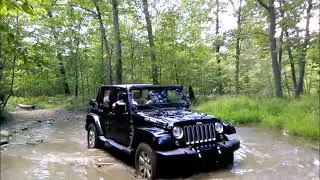 Trail Cleanup