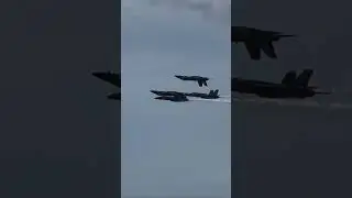 😍Always an amazing site to see! @USNavyBlueAngels #reels #reel #navy #f18 #fun #blueangels #cool