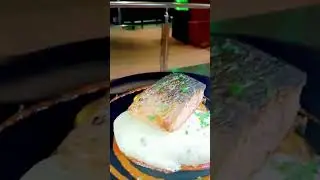 Best Salmon!  |  #shortvideo