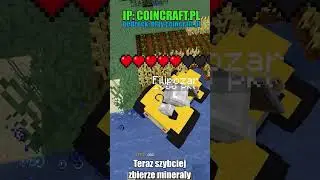 A TY CO BYŚ ZROBIŁ???  #minecraft #coincraft