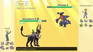 Mega Houndoom sweep!