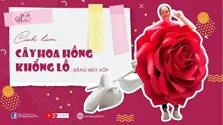 Hướng dẫn làm bông hoa hồng mút xốp khổng lồ 1,5m Phần 2 | Giant paper flower - Hoa giấy Suchin