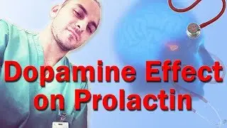 Dopamine Effect on Prolactin (QOTD 11/27/12) - NOTE!! (Basophils - FLAT vs. Acidophils - GH & Pro.)
