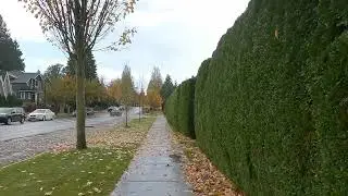 Vancouver BC Canada&rsquo;s Mild Fall Weather - Felix Mendelssohn Songs without Word Opus 85 No 4