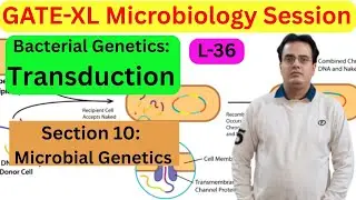 Target GATE-XL-Microbiology: Session no.#36: Transduction Microbial Genetics: Section no.10