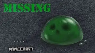 What Happened To The Slime Bros?