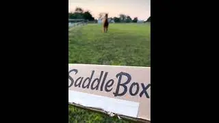 Every Horse Deserves a SaddleBox!