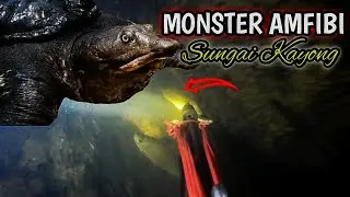 REJEKI MATA ‼️ Nembak Labi Labi Monster, Tali Tempuling Sampai Putus
