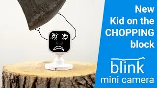 Разрубаем камеру Blink mini на куски