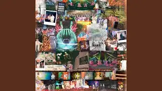 Animal (Live)