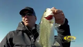 Fishing with norm for Fishing videos & bass Fishing and fish tank