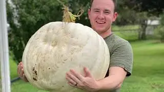Welcome to our Almosta Farm YouTube Channel
