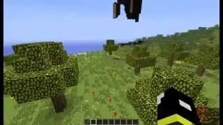 Epic Wither Battle