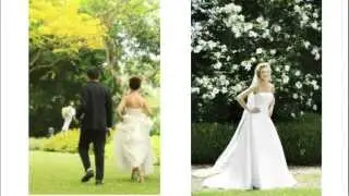 Shopping Ideas For Spring Wedding Dresses