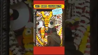 ଶ୍ରୀ ଜଗନ୍ନାଥ ସନ୍ଧ୍ୟା ଆଳତି 🙏 | Jagannath Sandhya Alati | Puri Dham #shorts  #love