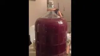 Maredudd's Blackberry Mead Racking #1