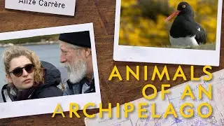 Modern Explorer | Episode 3 | Animals of an Archipelago