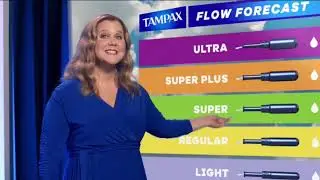Tampa Flow Forecast Amy Schumer