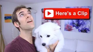 Jacksfilms 