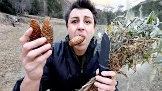 TROUVER DE LA NOURRITURE DANS LA NATURE EN HIVER !
