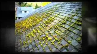 Oregon Roof and Gutter Cleaning | Hillsboro, Beaverton, Portland