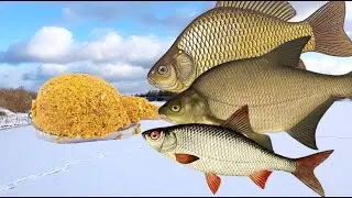Супер уловистая осенне зимняя прикормка для плотвы, леща, карася!