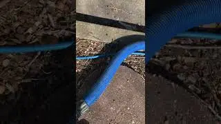 Carpet Cleaning in Norfolk VA / What is in Your Carpet? #shorts